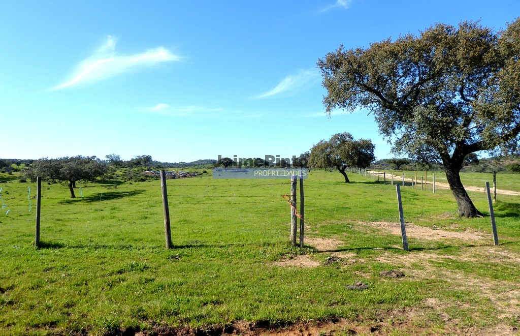 Farmstead