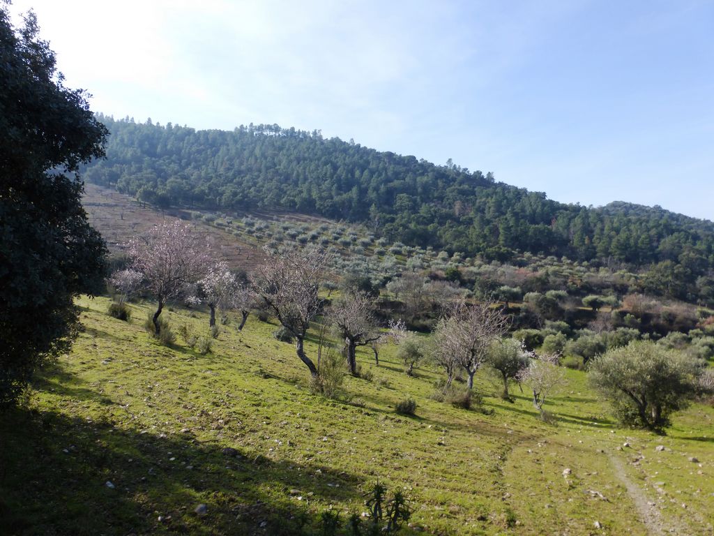 Agricultural land