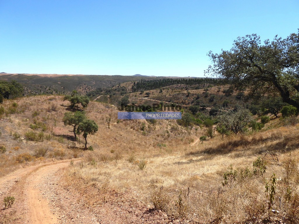 Farmstead