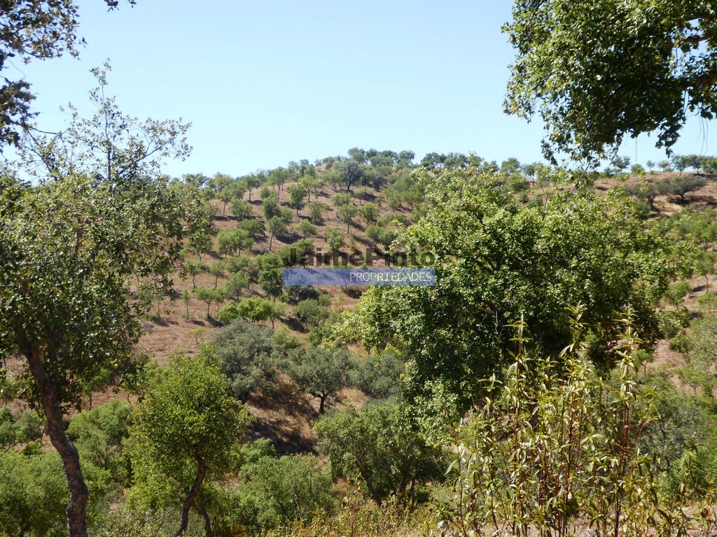 Farmstead