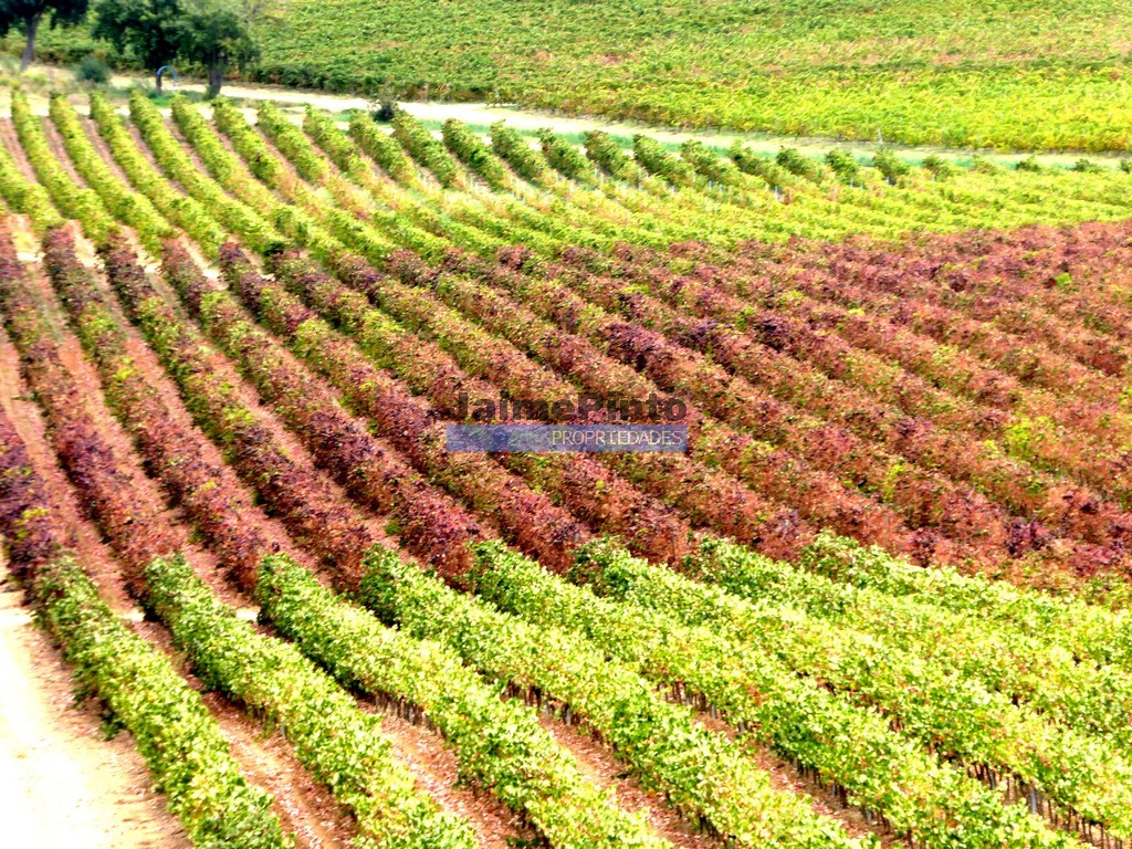 Farm