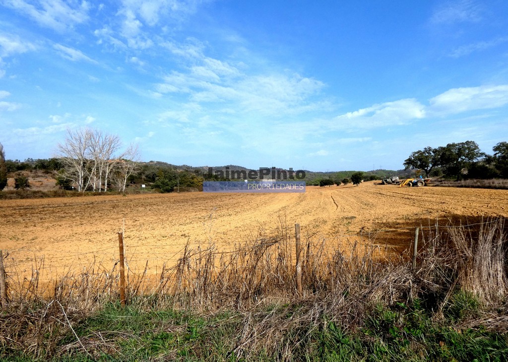 Farm