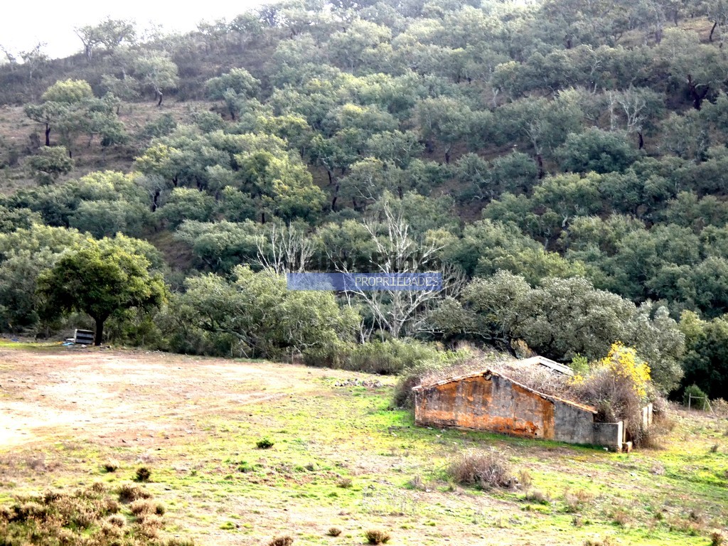 Farm
