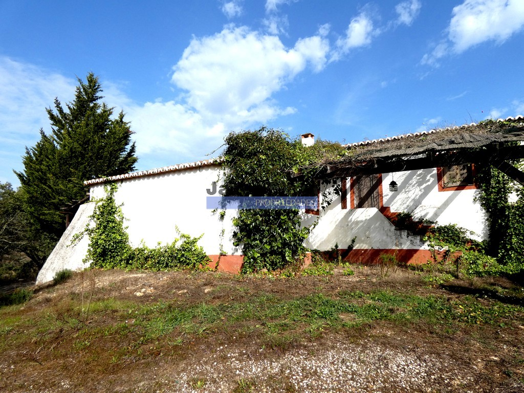 Farm