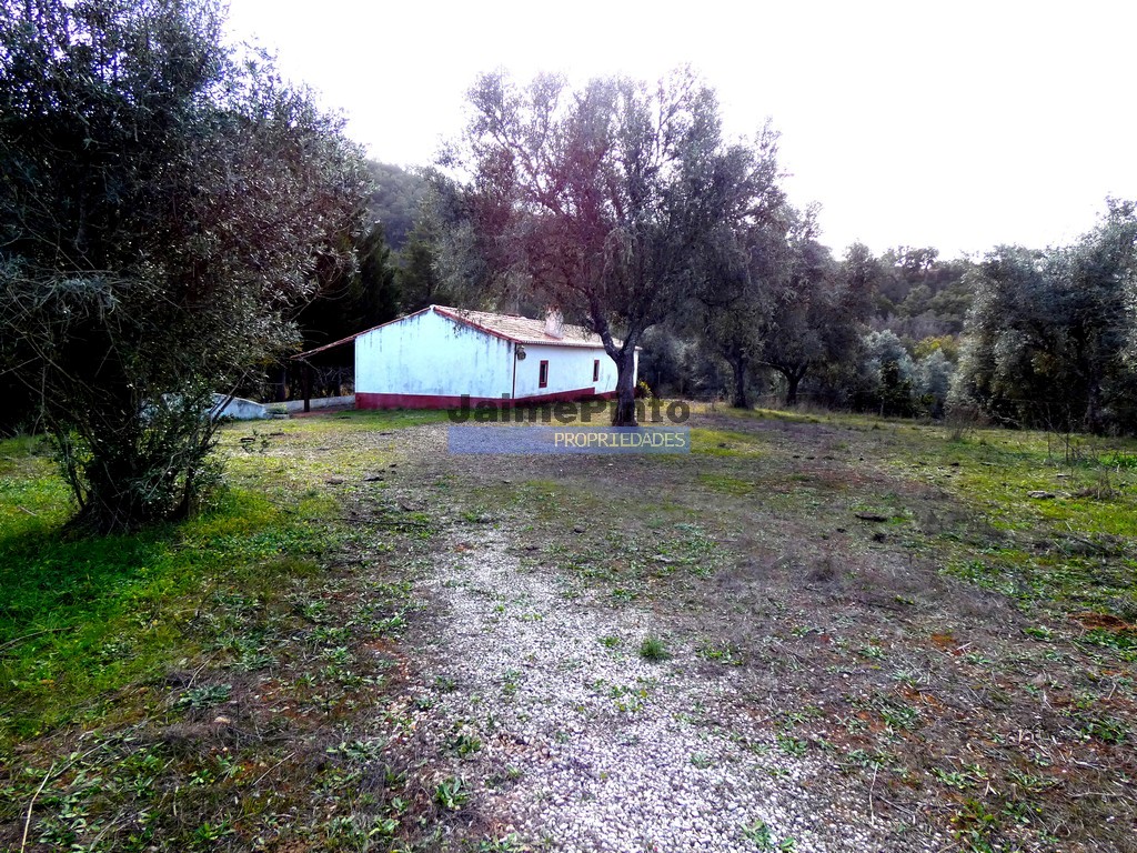 Farm