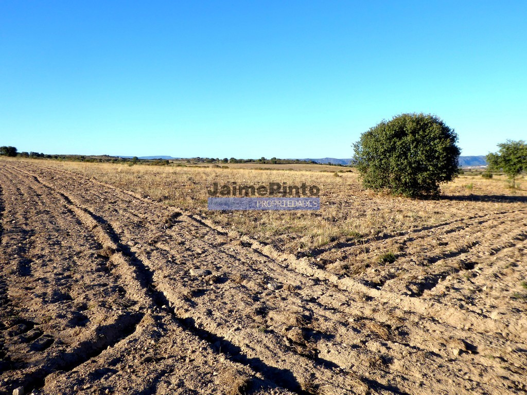 Agricultural land