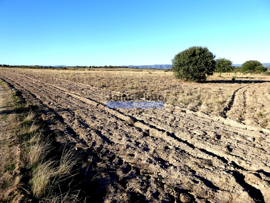 Agricultural land