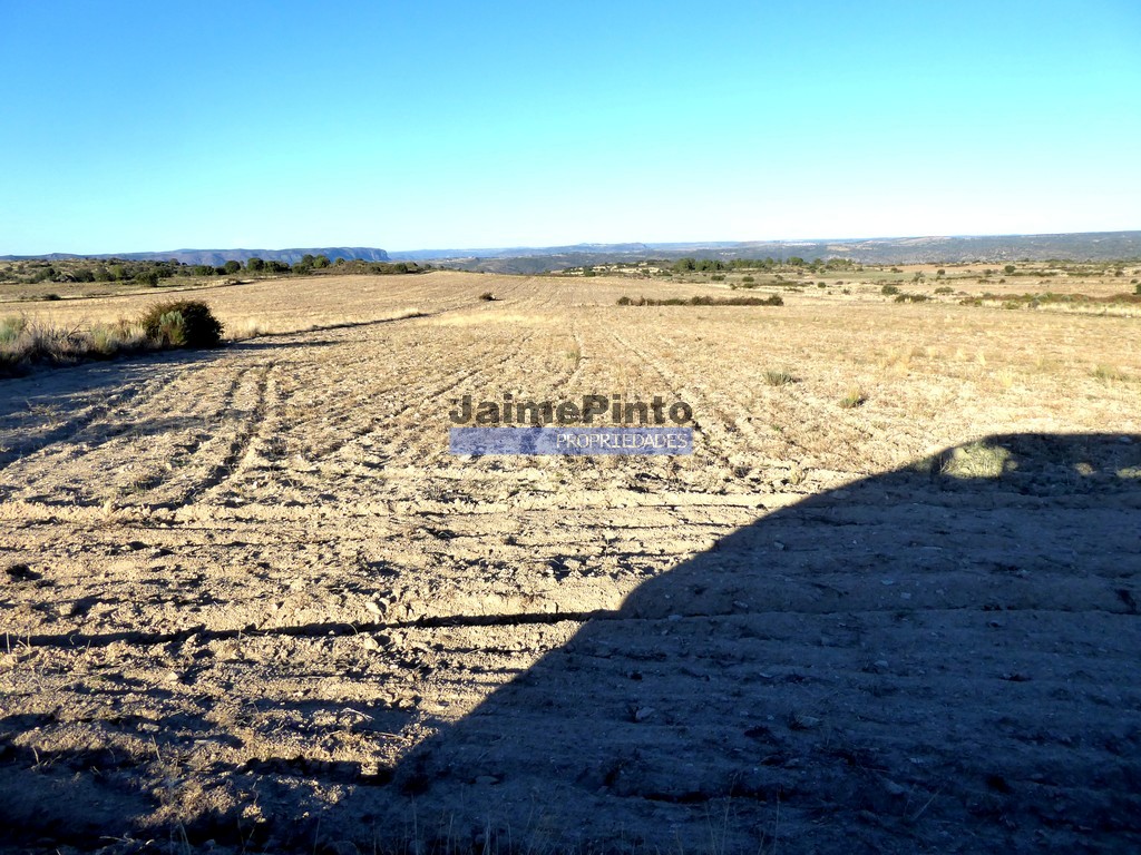 Agricultural land