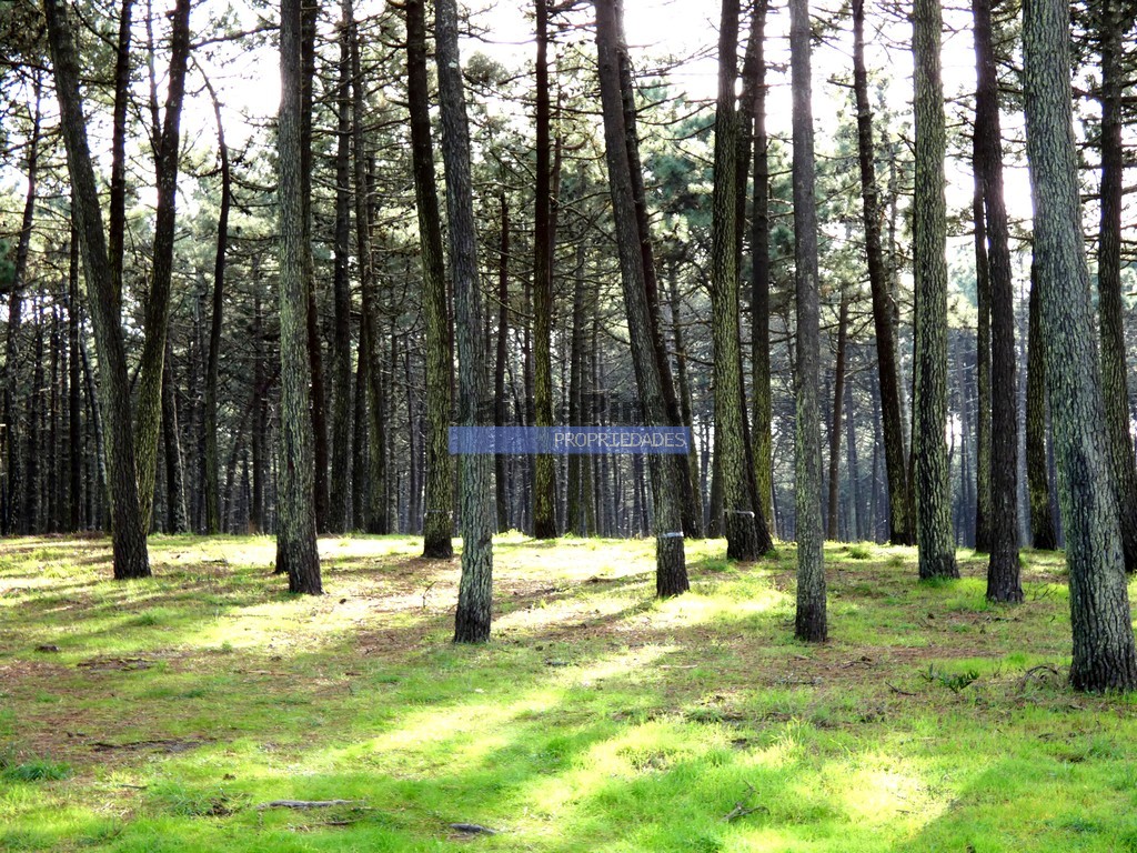 Land plot for house construction
