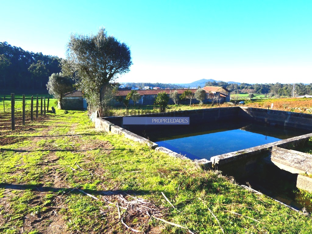 Farm