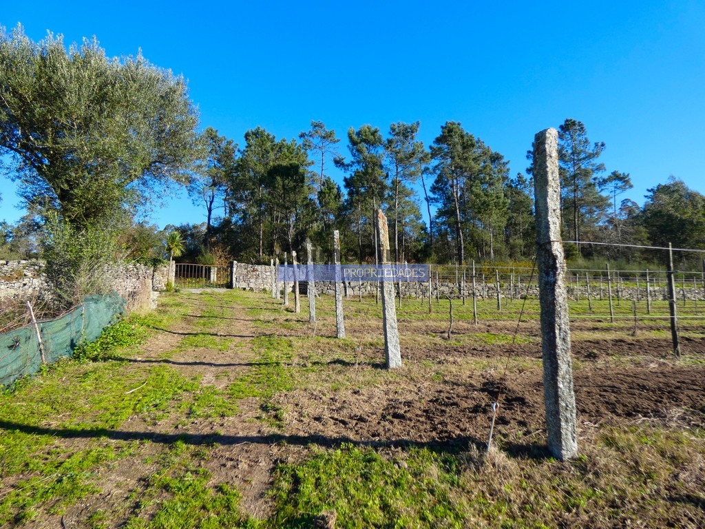 Farm