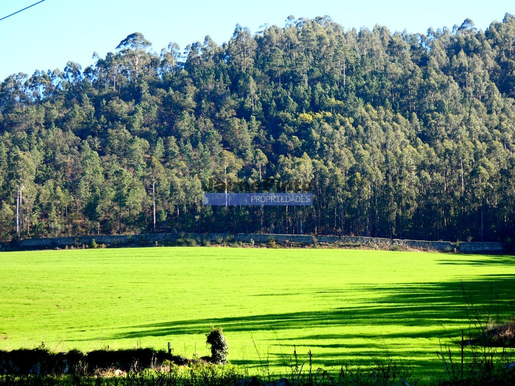 Farm