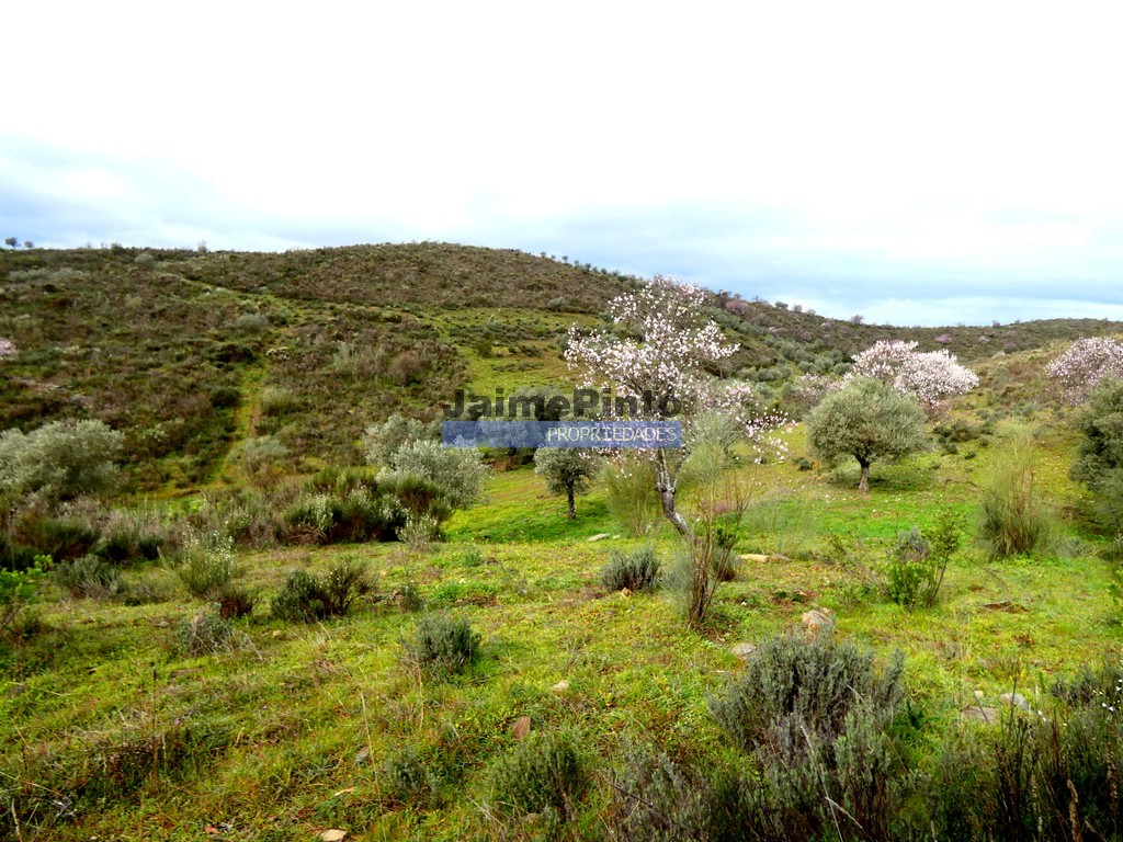 Agricultural land