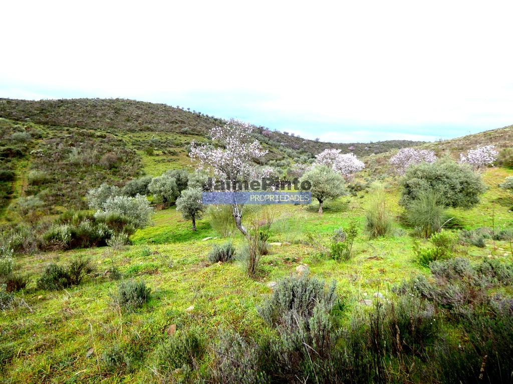 Agricultural land