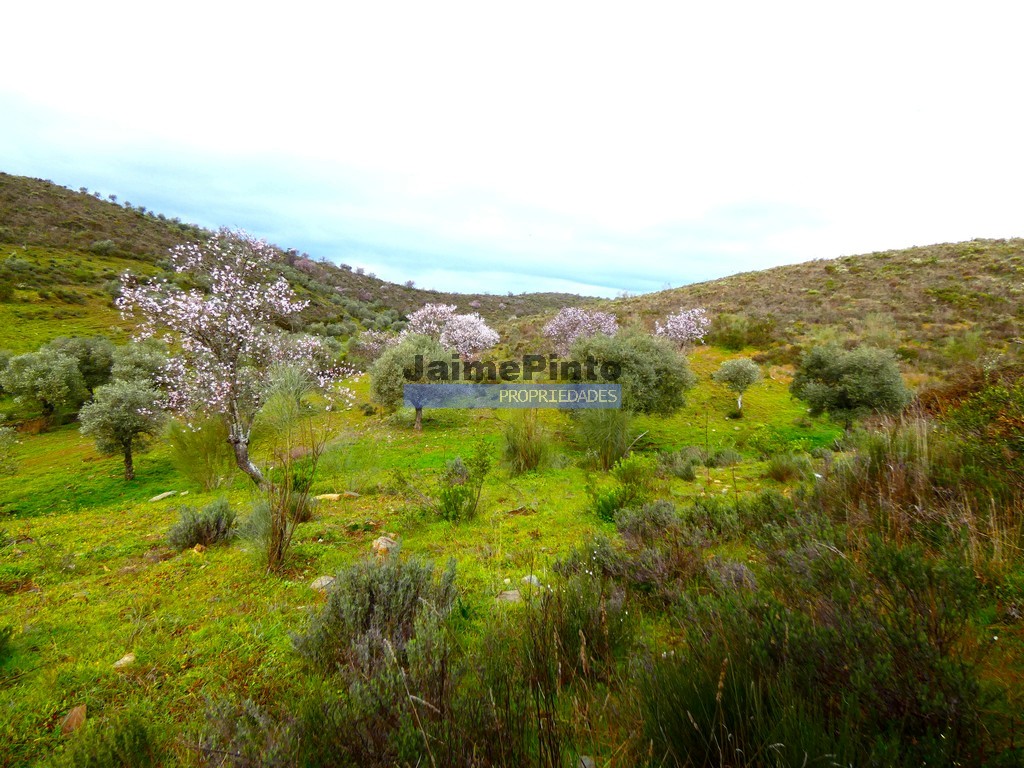 Agricultural land