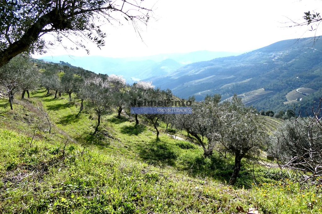 Agricultural land