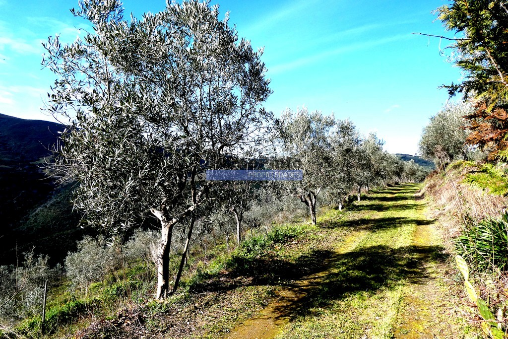Agricultural land