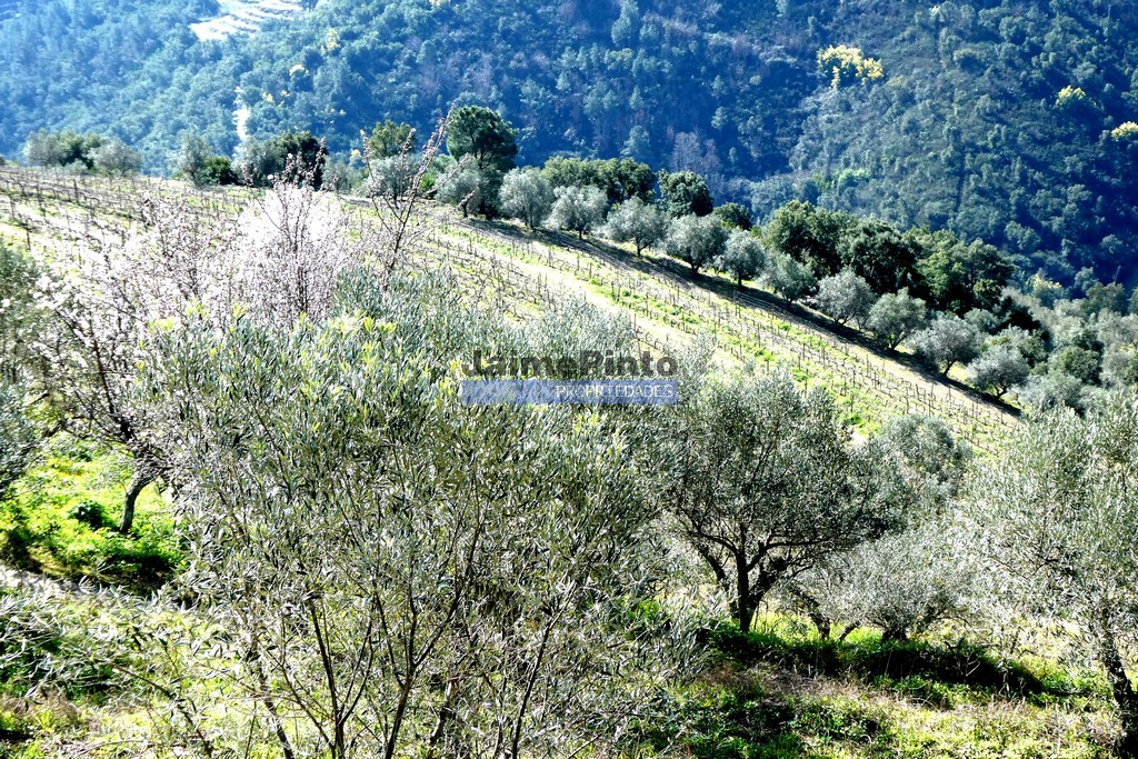 Agricultural land