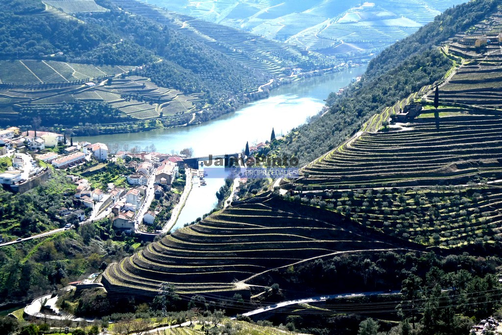 Agricultural land