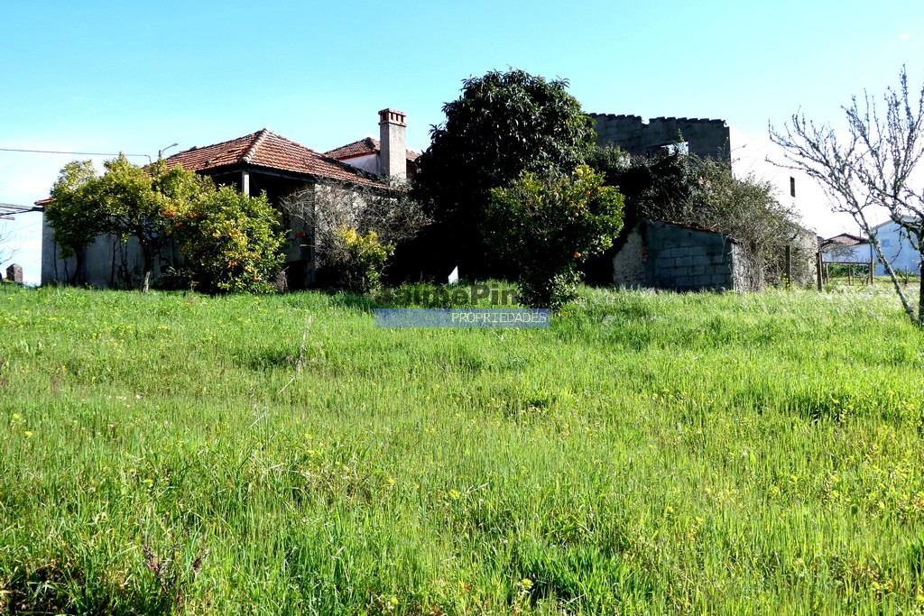 Small Farm