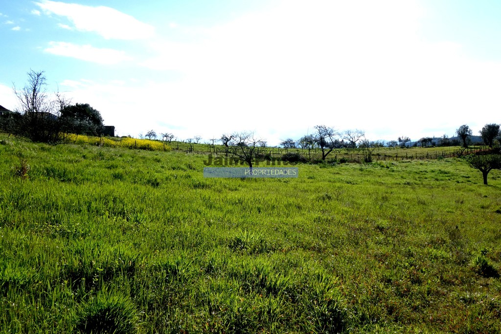 Small Farm
