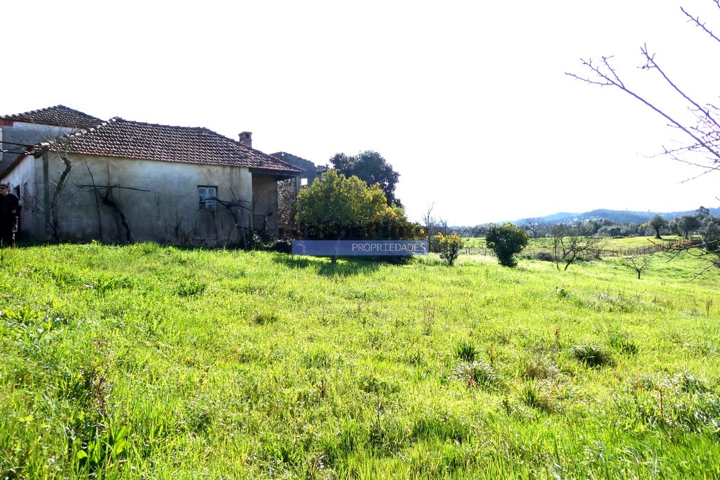 Small Farm