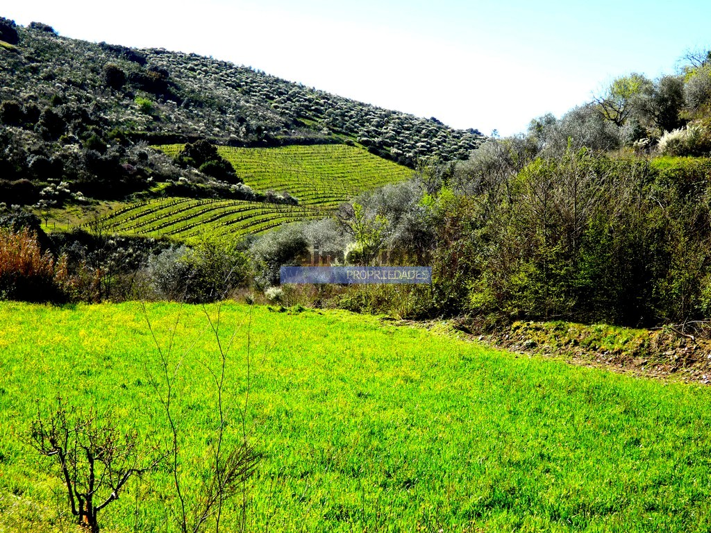 Farm
