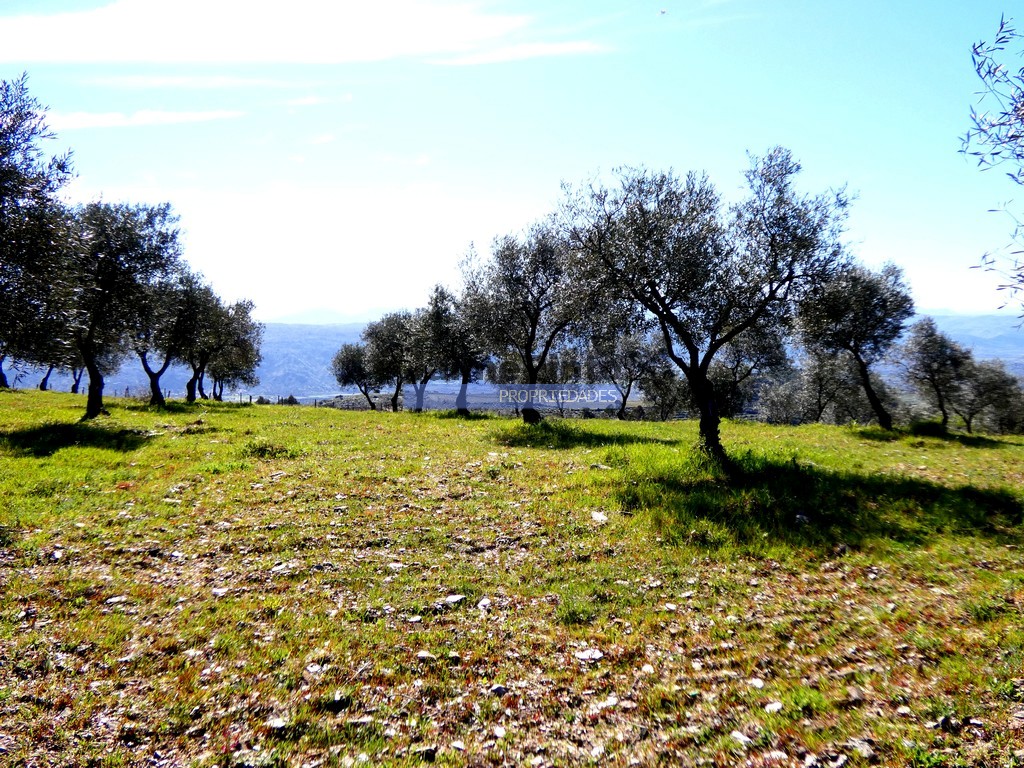 Farm