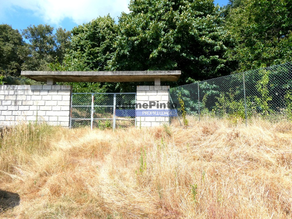 Farm