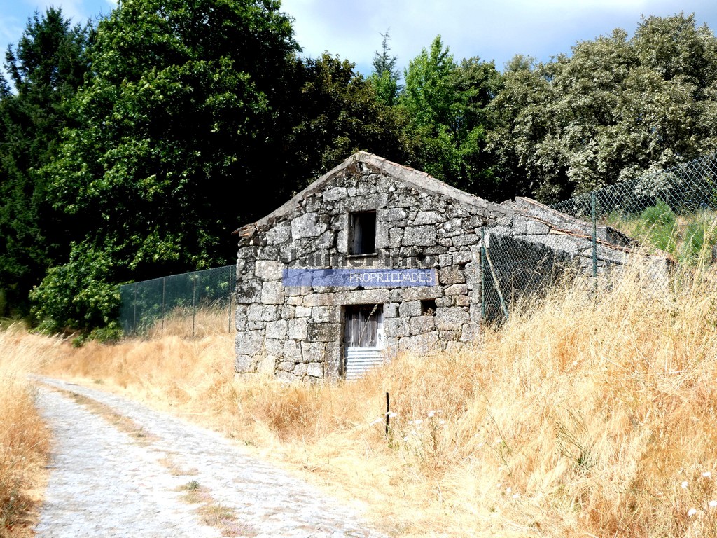 Farm