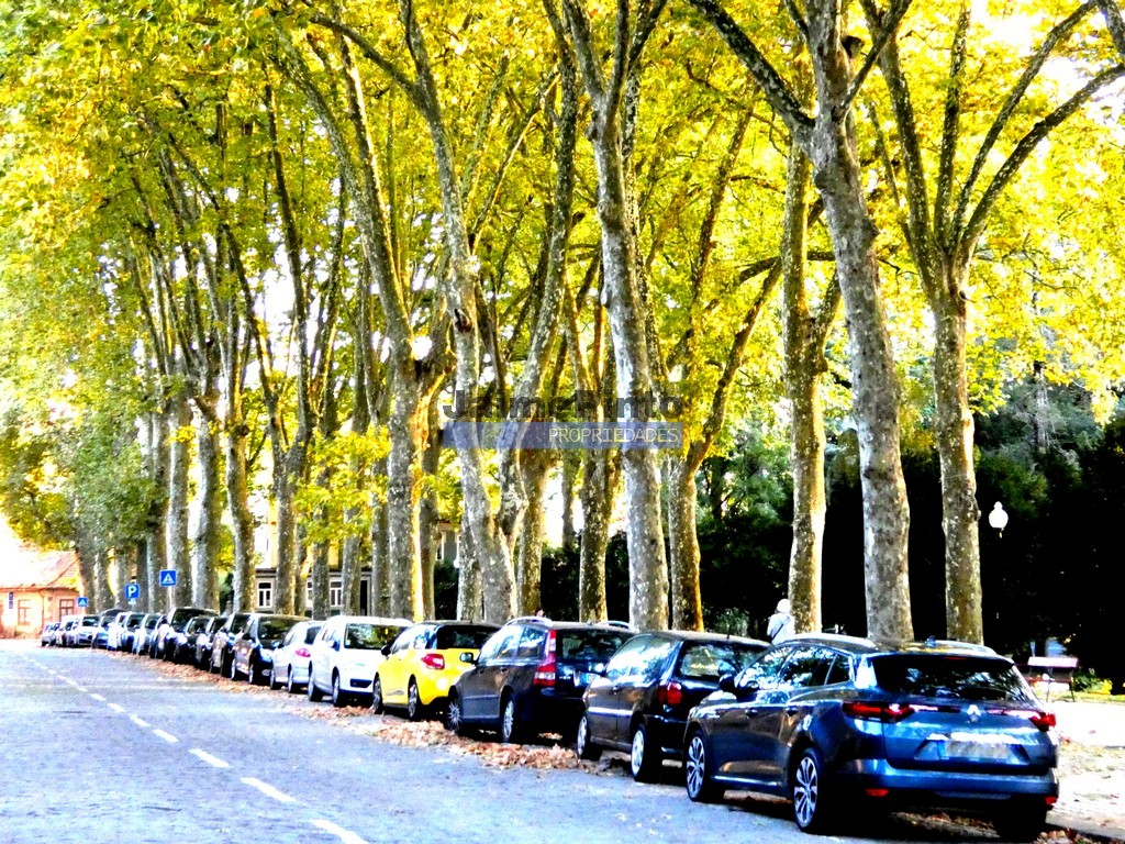 Land plot for house construction