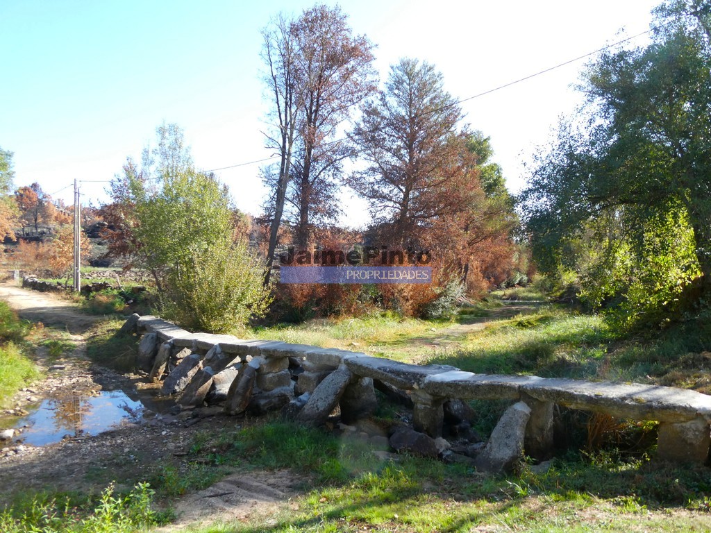 Land plot for house construction