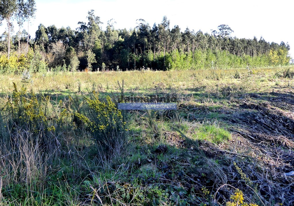 Urban / Agricultural land plot