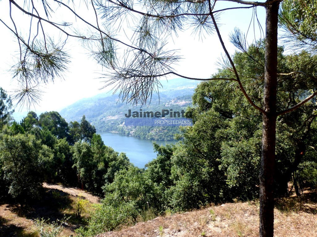 Land plot for house construction