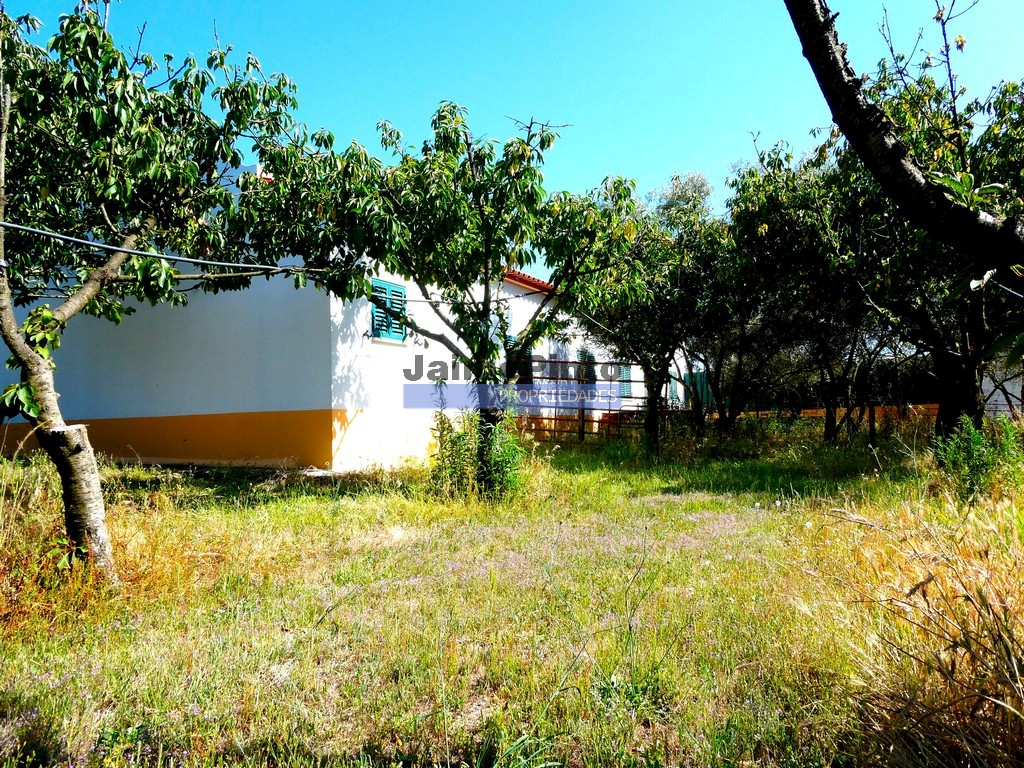 Farm