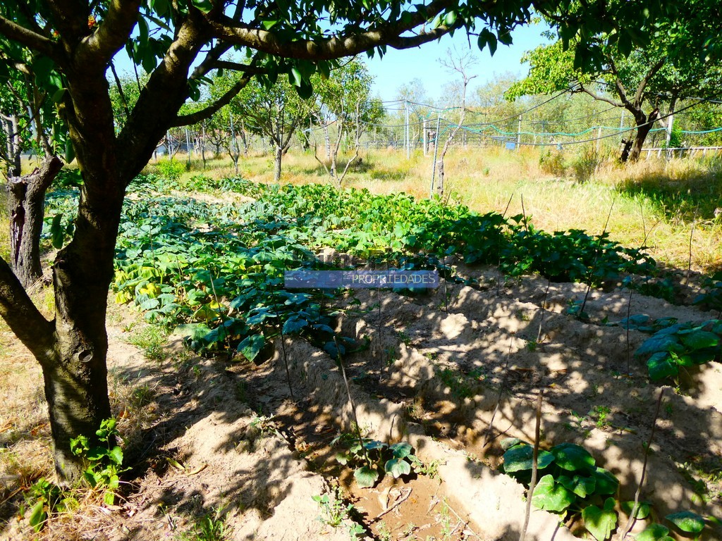 Farm