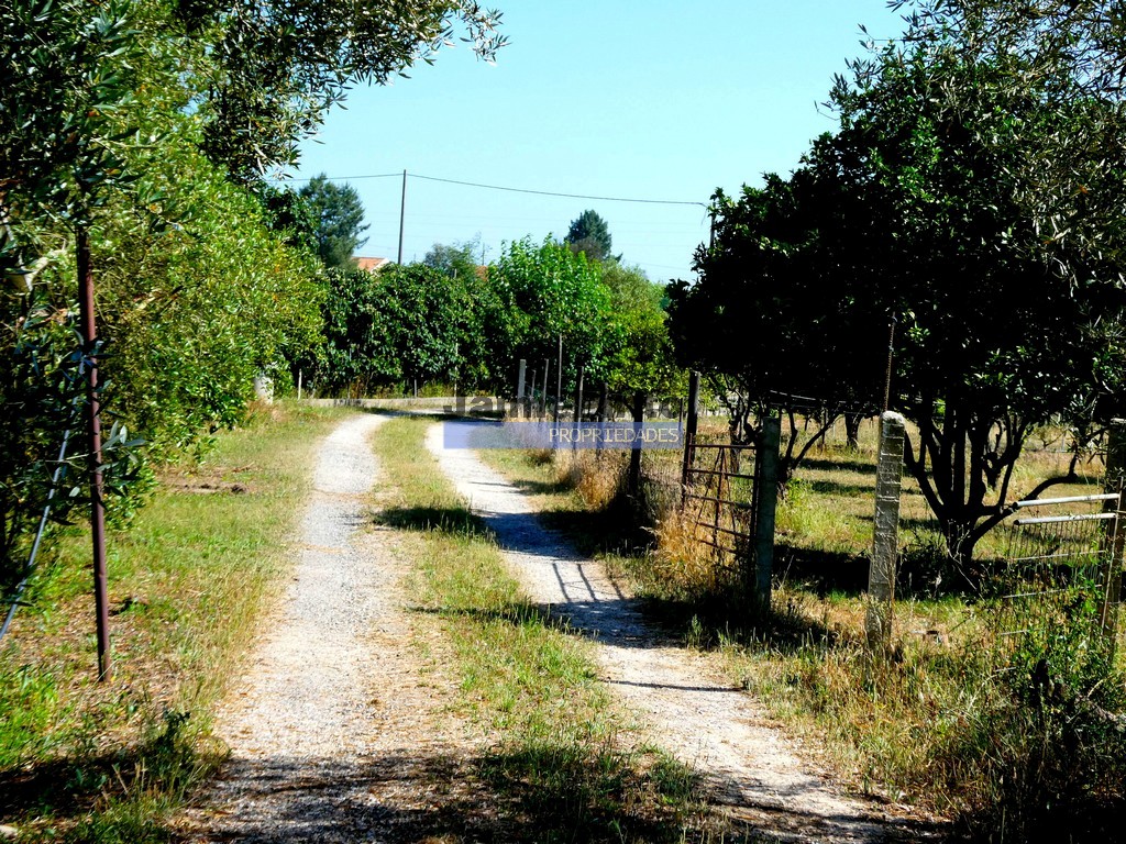 Farm