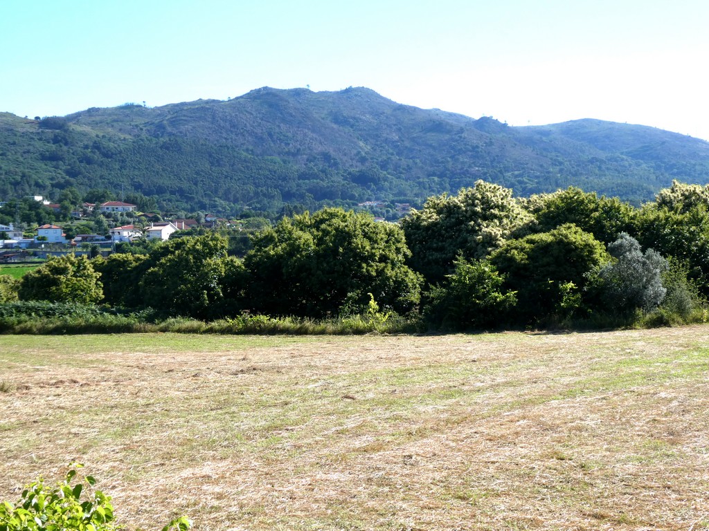 Urban / Agricultural land plot