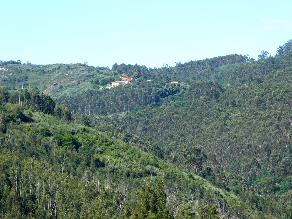 Urban / Agricultural land plot