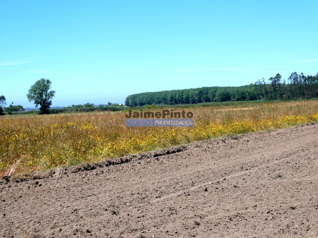 Land plot for house construction