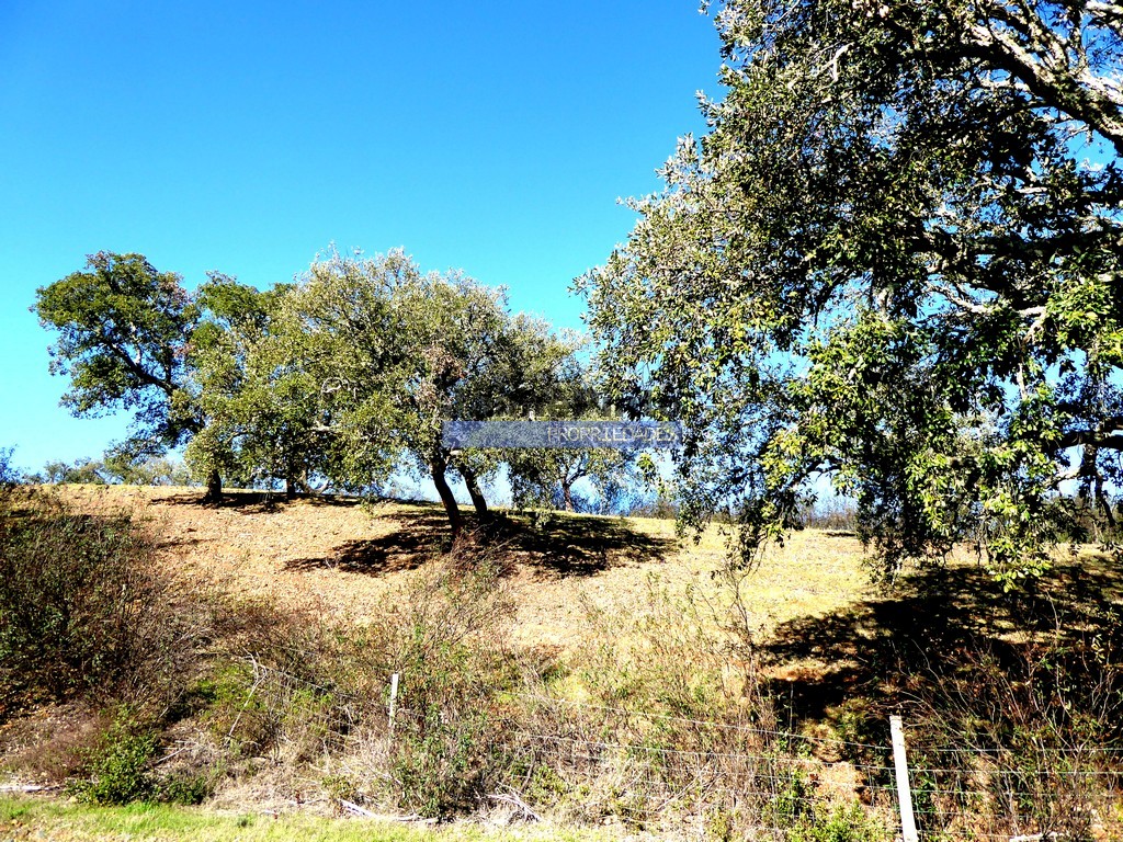 Farmstead